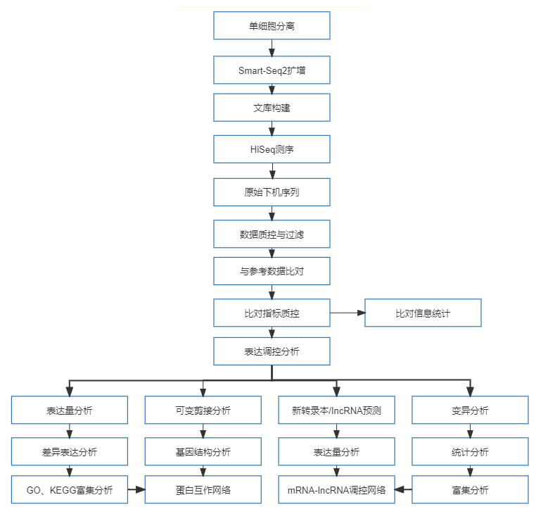 29、单细胞转录组测序.png