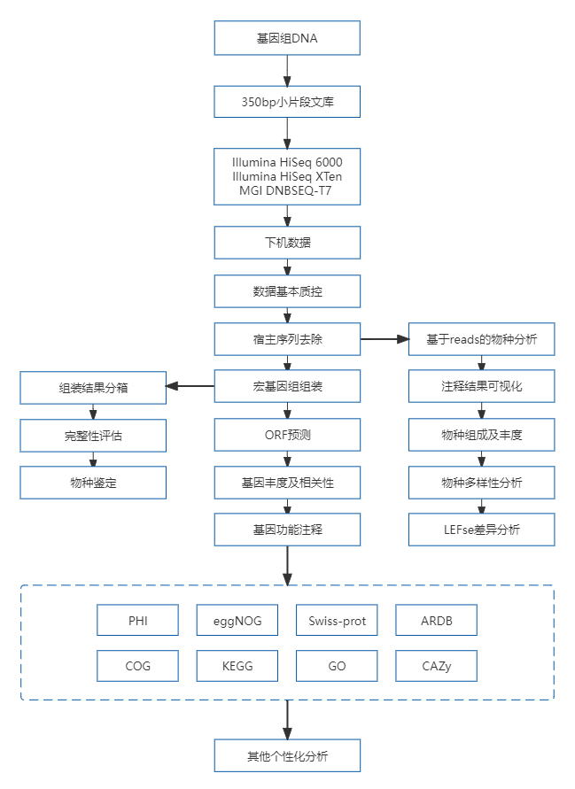13、二代宏基因组测序.png