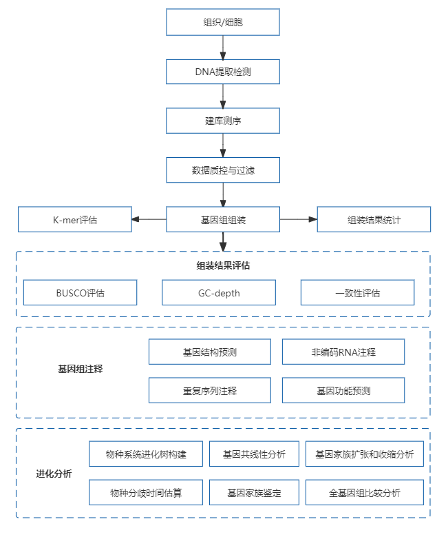 4、动植物基因组de novo.png