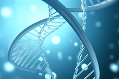 联合分析 | ATAC-seq与RNA-seq：开启基因表达调控的新视角
