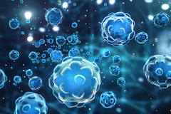 Science项目文章 | “孔明”，一种非经典核苷酸信号传导：细菌抗病毒策略的全新视角
